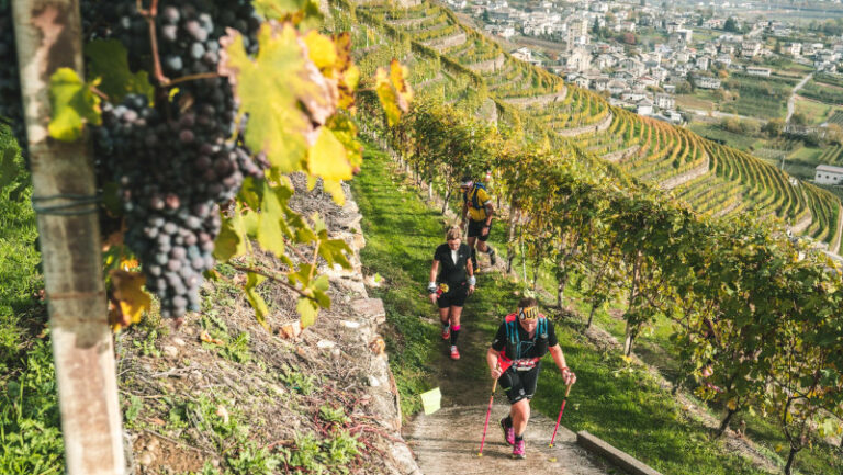 Valtellina Wine Trail