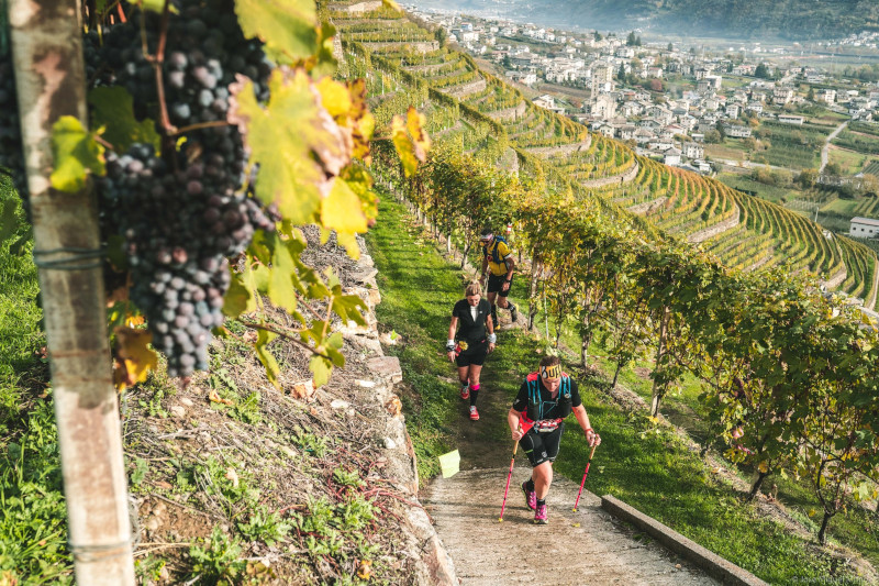 Valtellina Wine Trail
