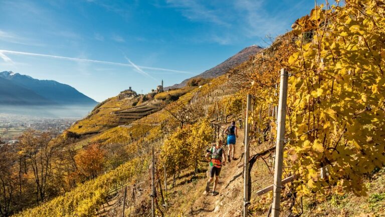 Valtellina Wine Trail 2023
