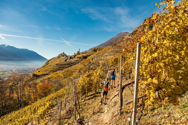 Valtellina Wine Trail 2023