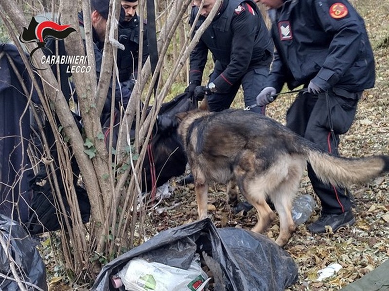 carabinieri colico spaccio