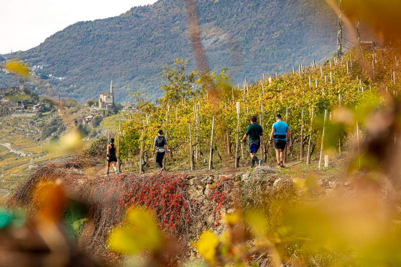 Valtellina Wine Trail 2023