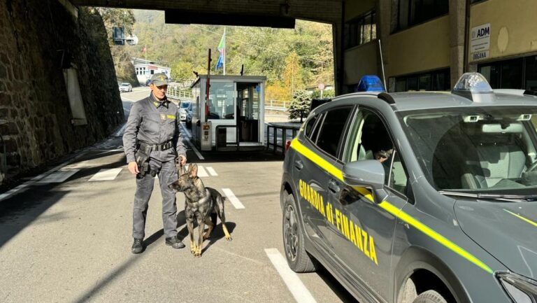 Finanza cani valuta soldi frontiera valichi dogana
