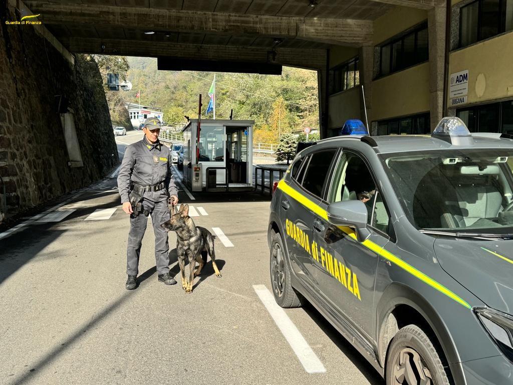 Finanza cani valuta soldi frontiera valichi dogana