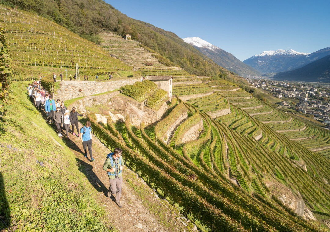 Valtellina Wine Trail corsa 2023 studenti (1)