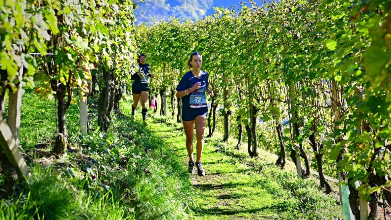 Valtellina Wine Trail corsa 2023 studenti (1)