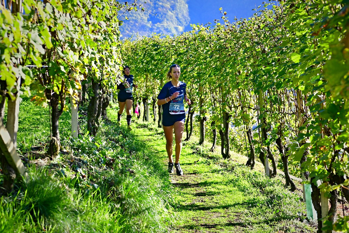Valtellina Wine Trail corsa 2023 studenti (1)
