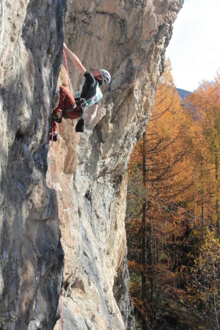 Collegio Regionale Guide Alpine abilitazioni