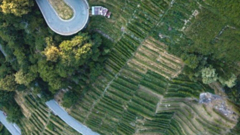 Bando Terrazzamenti