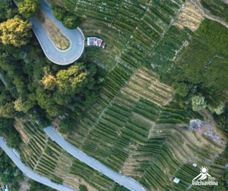 Bando Terrazzamenti