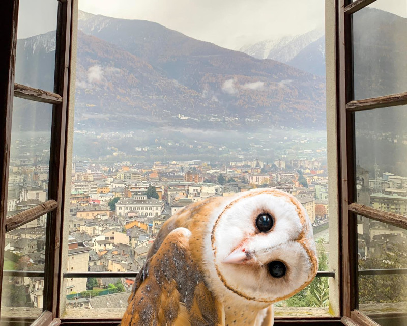 Sondrio Festival