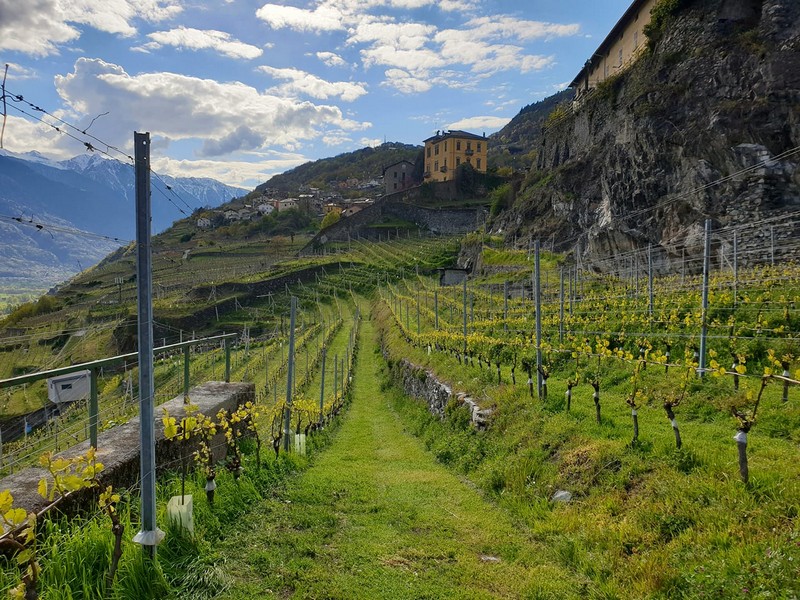 Mamete Prevostini Sondrio Cantine d'Italia