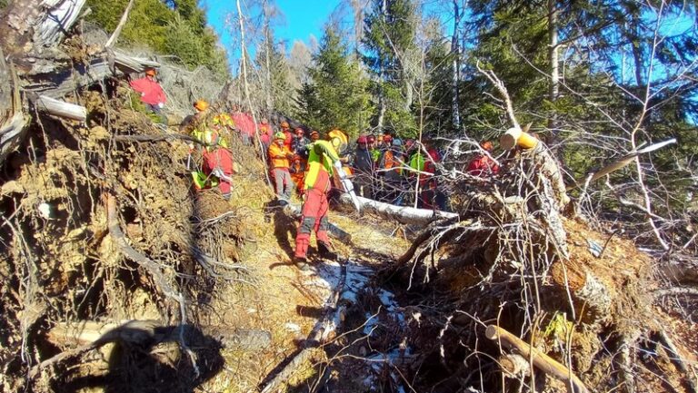 Operatori forestali Aprica corso aggiornamento