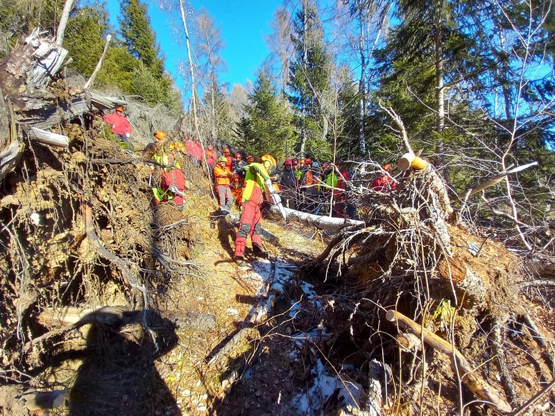 Operatori forestali Aprica corso aggiornamento