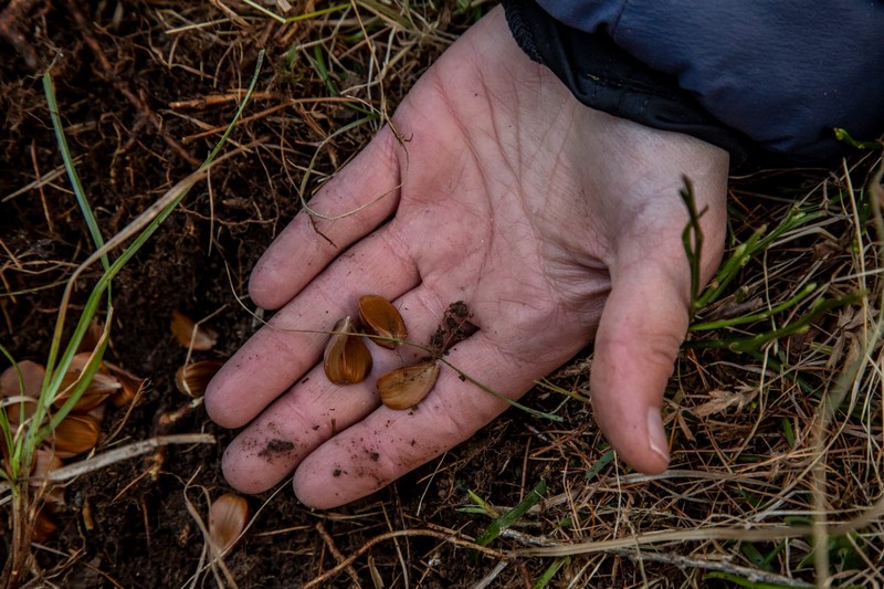 Parco Orobie Valtellinesi semina cambiamento climatico