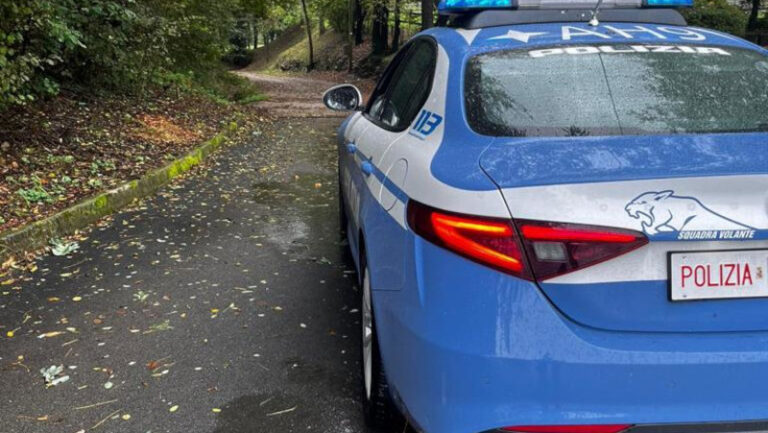 Polizia di Stato generica