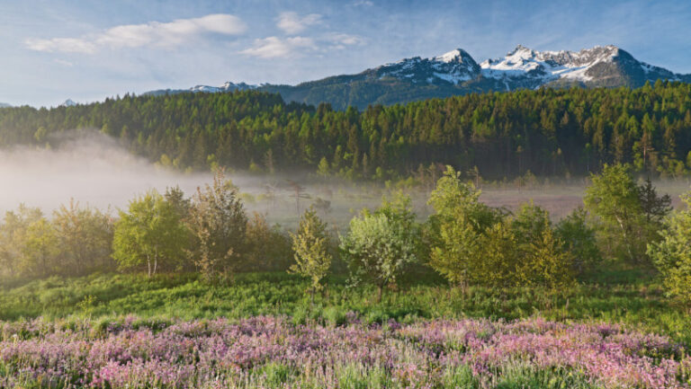 Paesaggio alpino