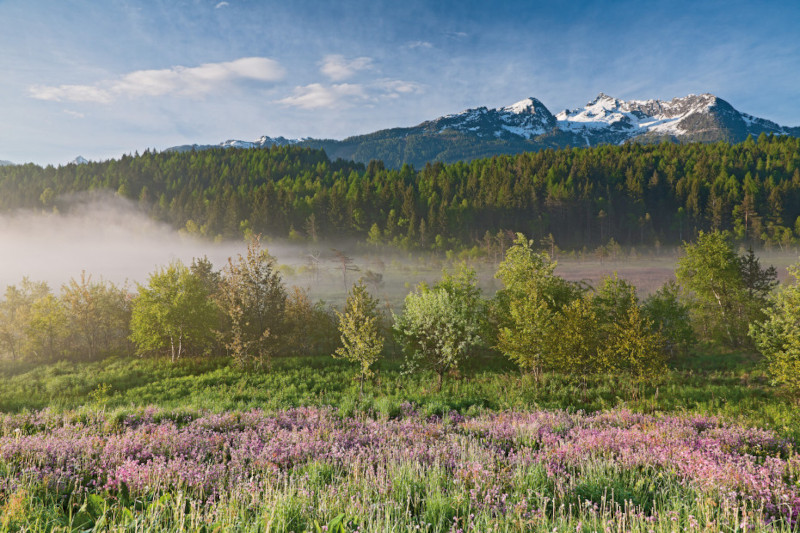 Paesaggio alpino
