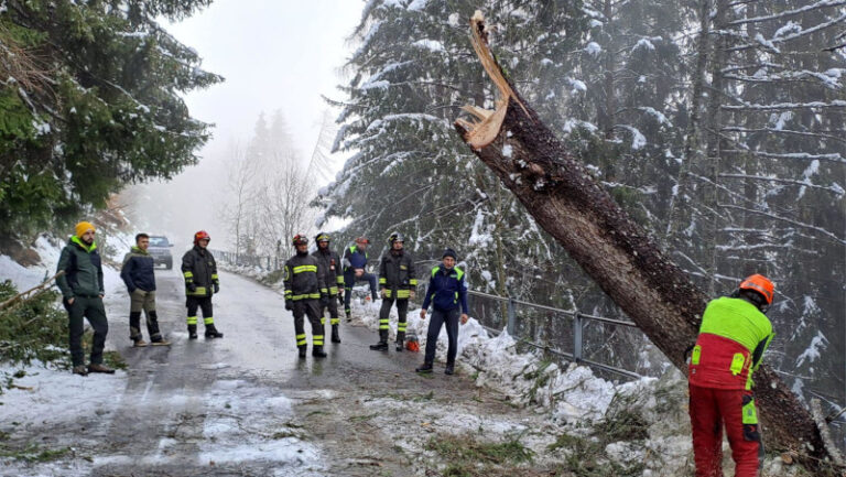 Protezione Civile Teglio rimozione piante Prato Valentino