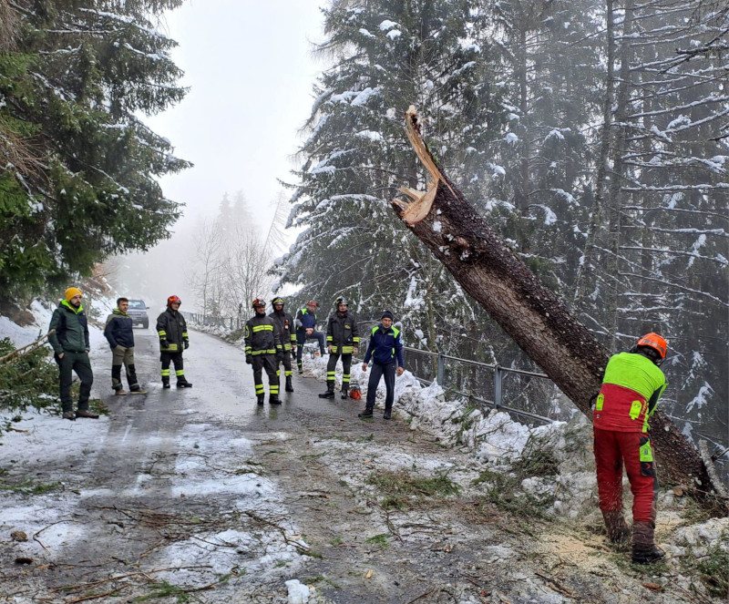 Protezione Civile Teglio rimozione piante Prato Valentino