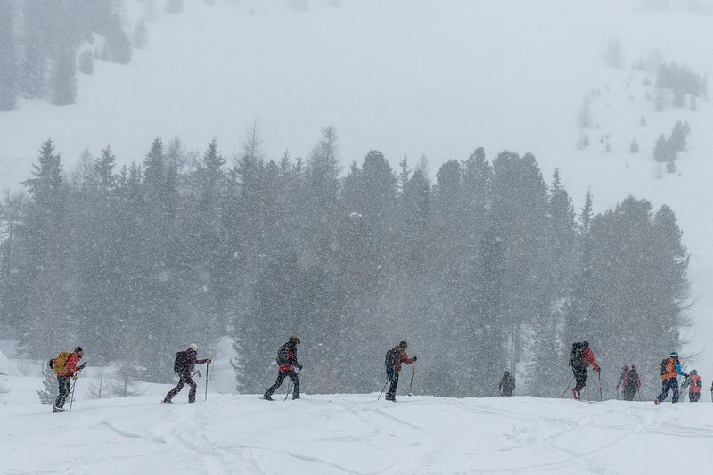 Skimofestival scialpinismo 