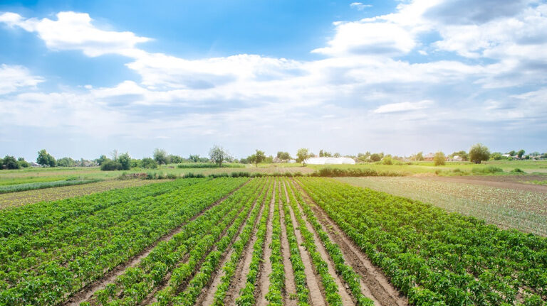 Azienda biologica