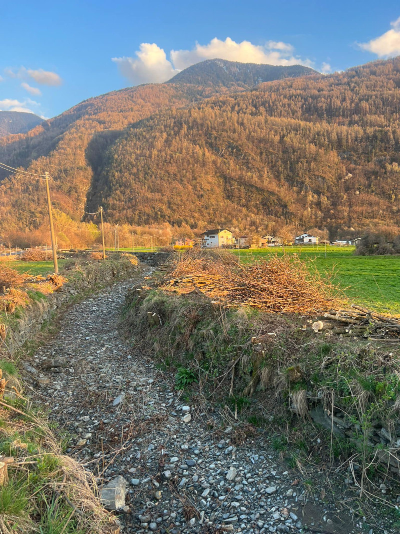 Fiumi sicuri torrente caronella teglio