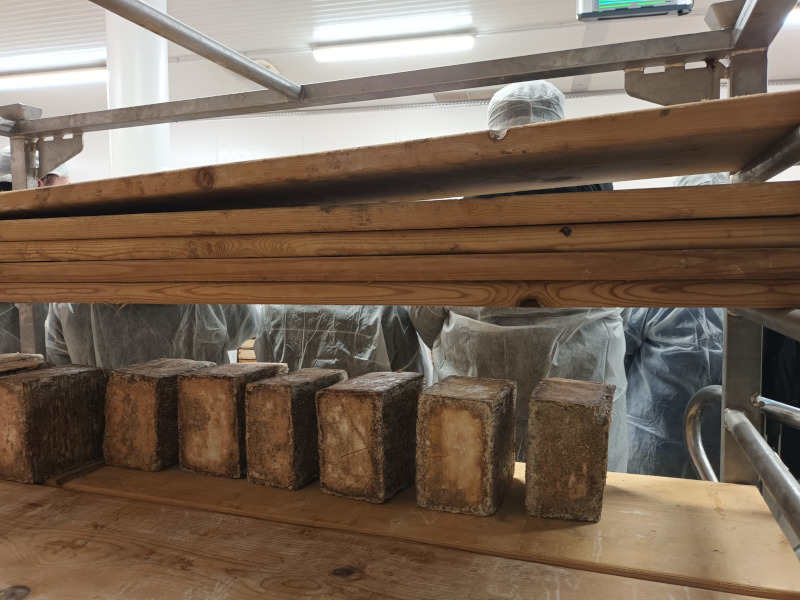 IST Agroalimentare Sondrio nuovo corso