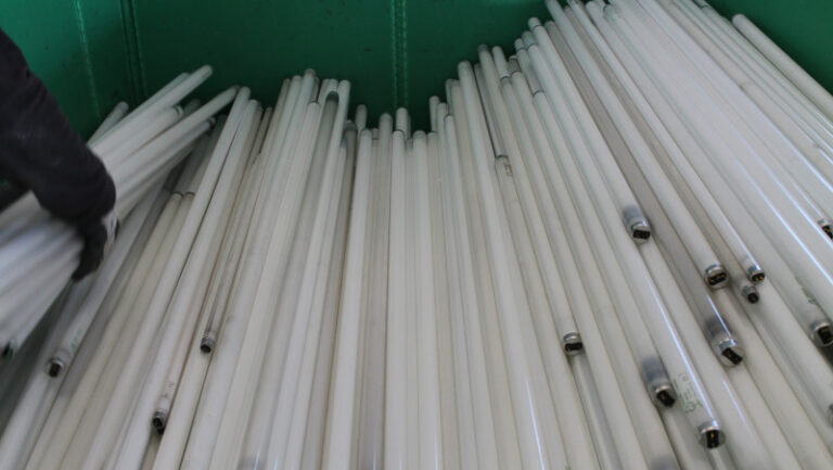 Lampadine riciclate Consorzio Ecolamp