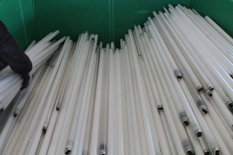 Lampadine riciclate Consorzio Ecolamp