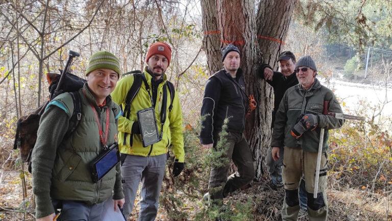Riserva Naturale Val di Mello interventi bosco progetto Climate Change