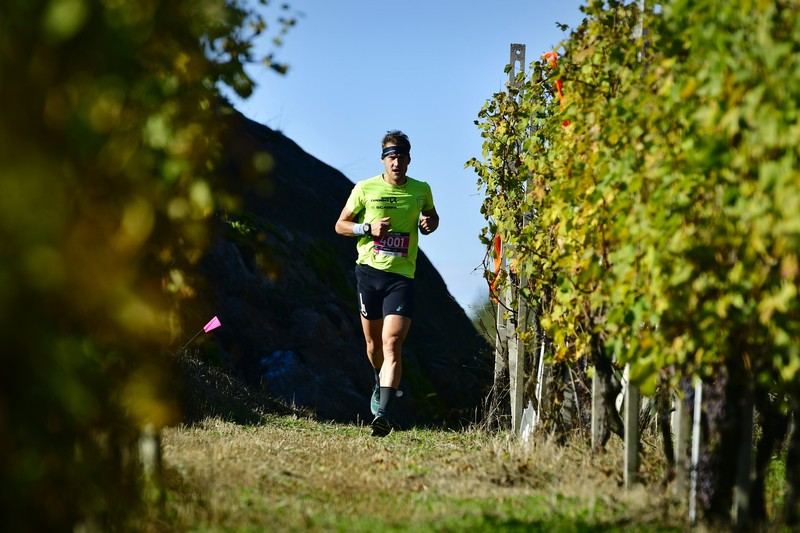 Valtellina Wine Trail