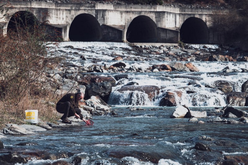 Semine Novellame UPS Sondrio
