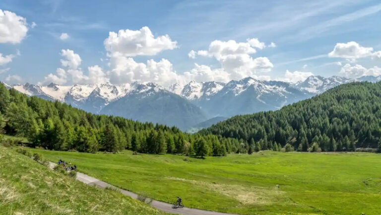 Aprica bici