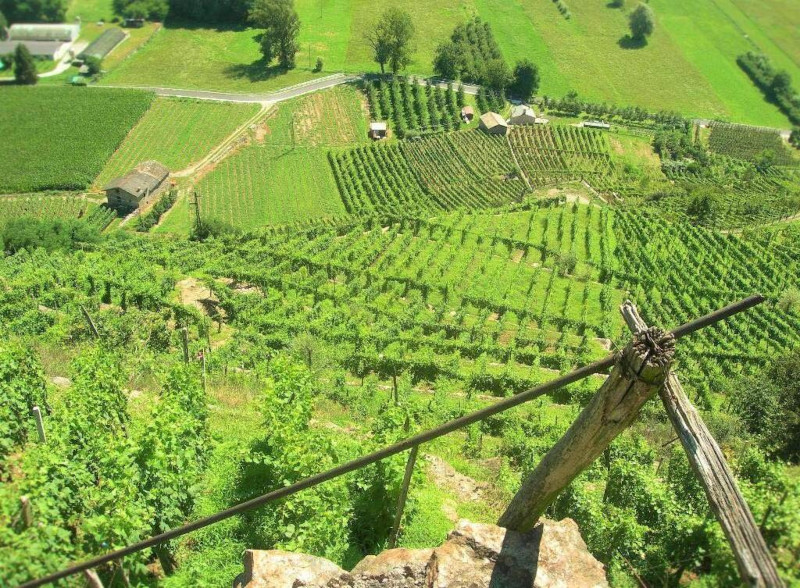 Azienda agricola Folini Chiuro