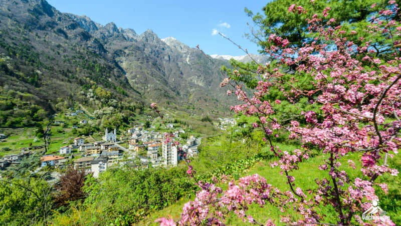 Valchiavenna primavera