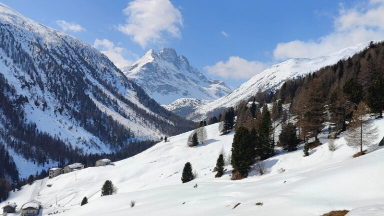 Val Viola Valdidentro