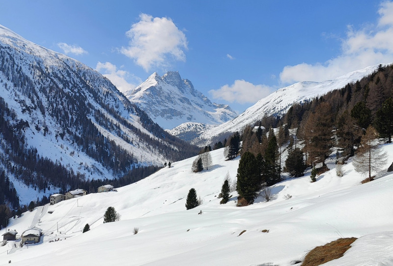Val Viola Valdidentro