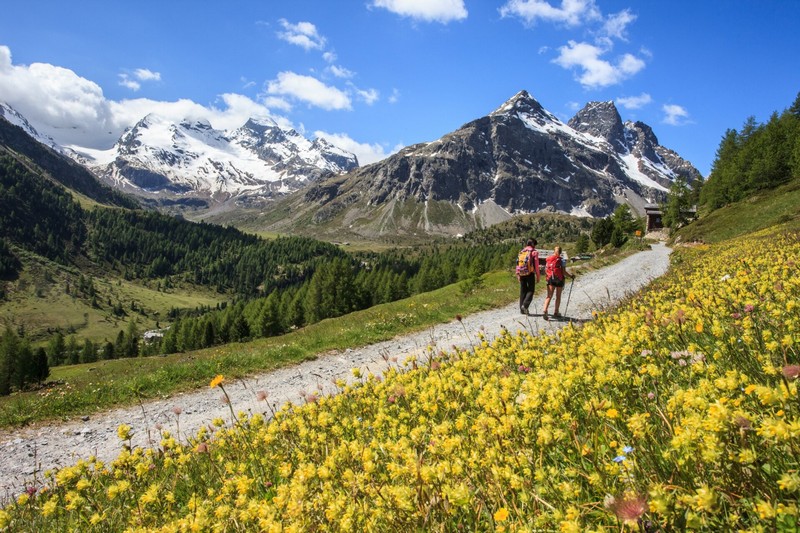 APF Valtellina promozione turistica Roma