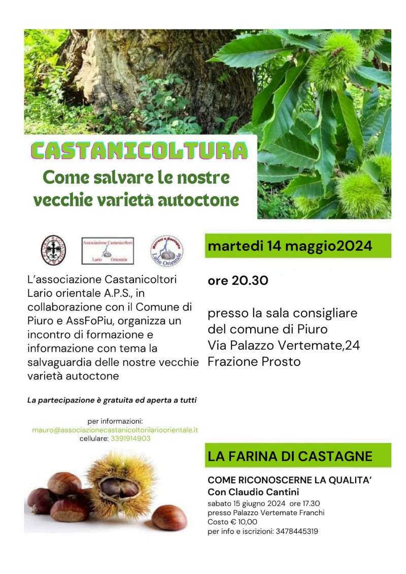 Incontri castanicoltura Piuro