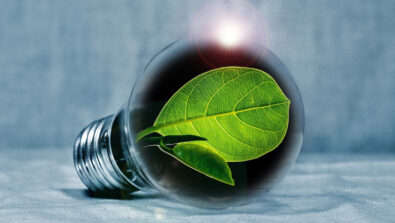 Lampadina green sostenibilità energia