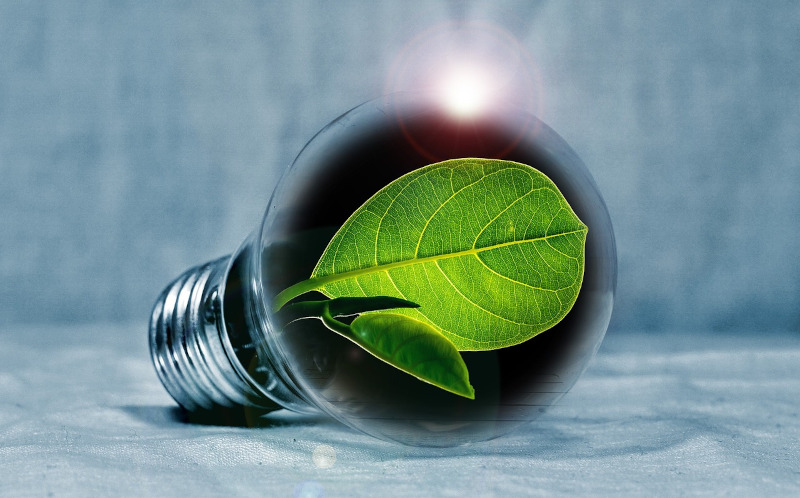 Lampadina green sostenibilità energia
