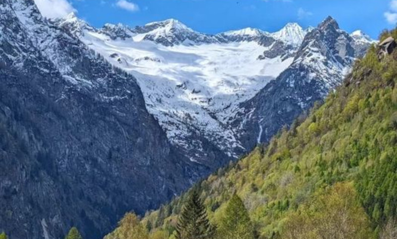 Val Masino