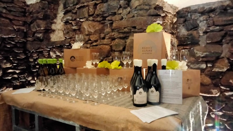 Radici Alpine inaugurazione cantina Chiuro