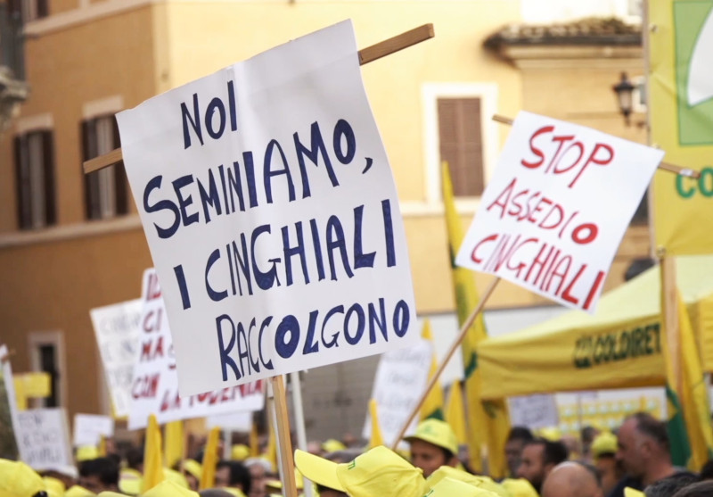 Manifestazione Coldiretti Sondrio fauna selvatica Milano