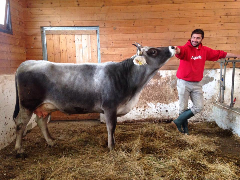 Azienda agricola imprenditori