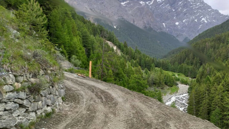 Niblogo Tre Croci Valfurva