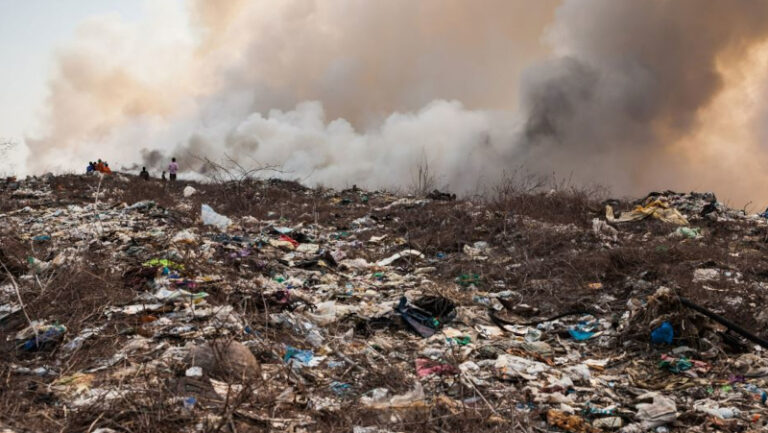 Rapporto Legambiente Ecomafia