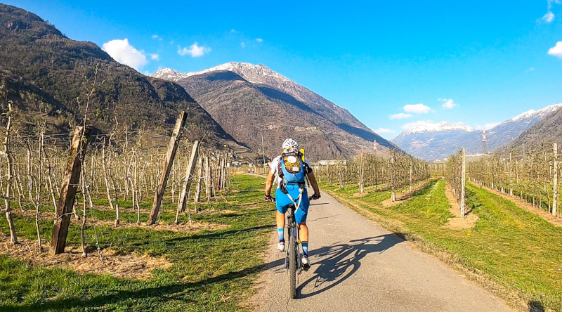 Bicicletta vigneti