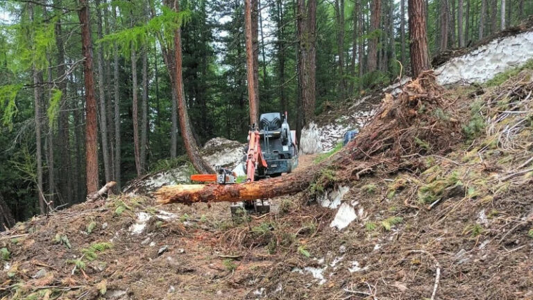 Livigno operai forestale interventi sentieri